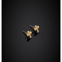 Orecchini Chiara Ferragni Donna in Lega metallica J19AWC13 - J19AWC13